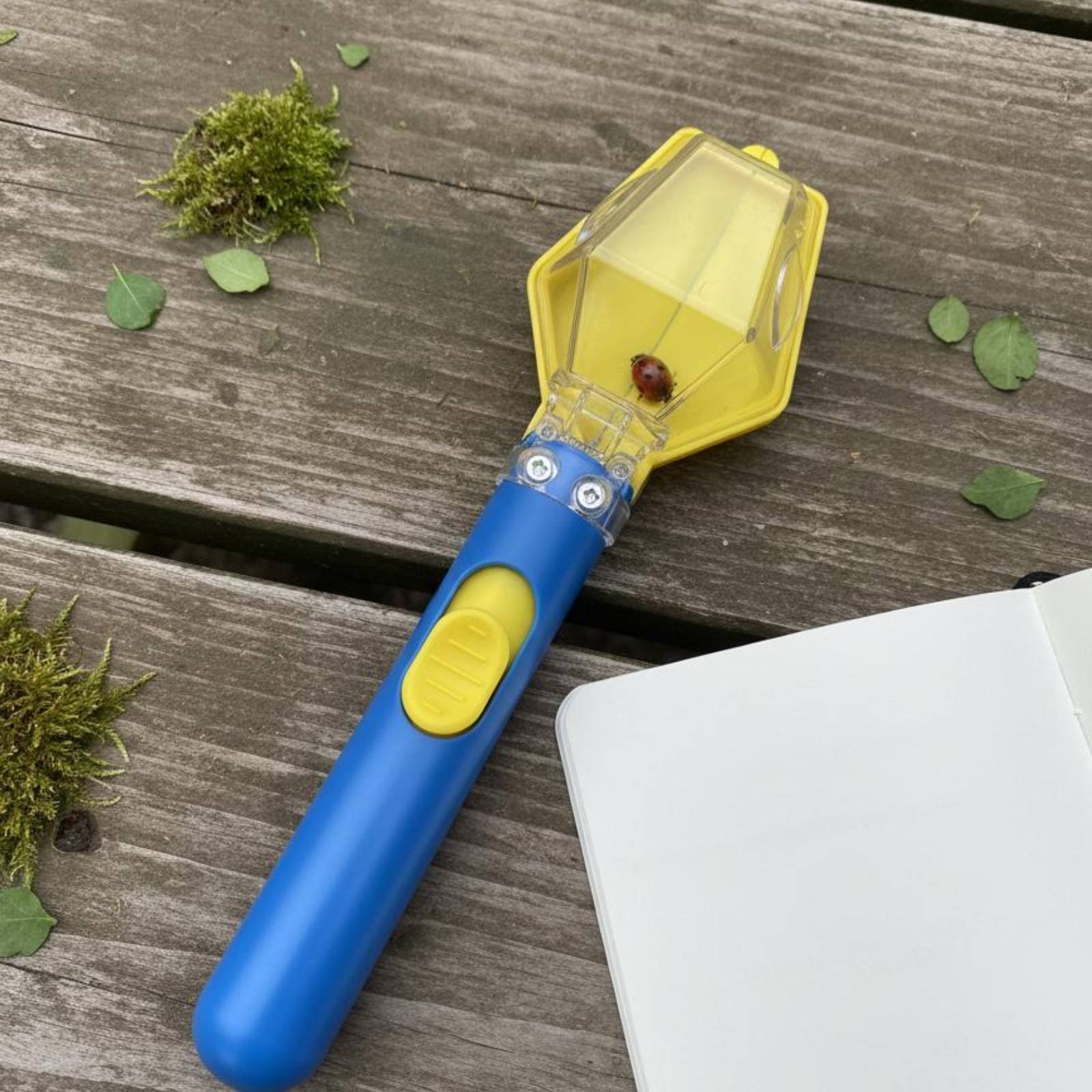 Bug Catcher Viewer Interactive - Science Kit avis et prix
