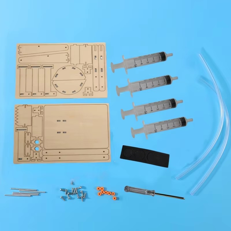 Fun STEM DIY Science Kit Woode - Science Hobby Kit avis et prix