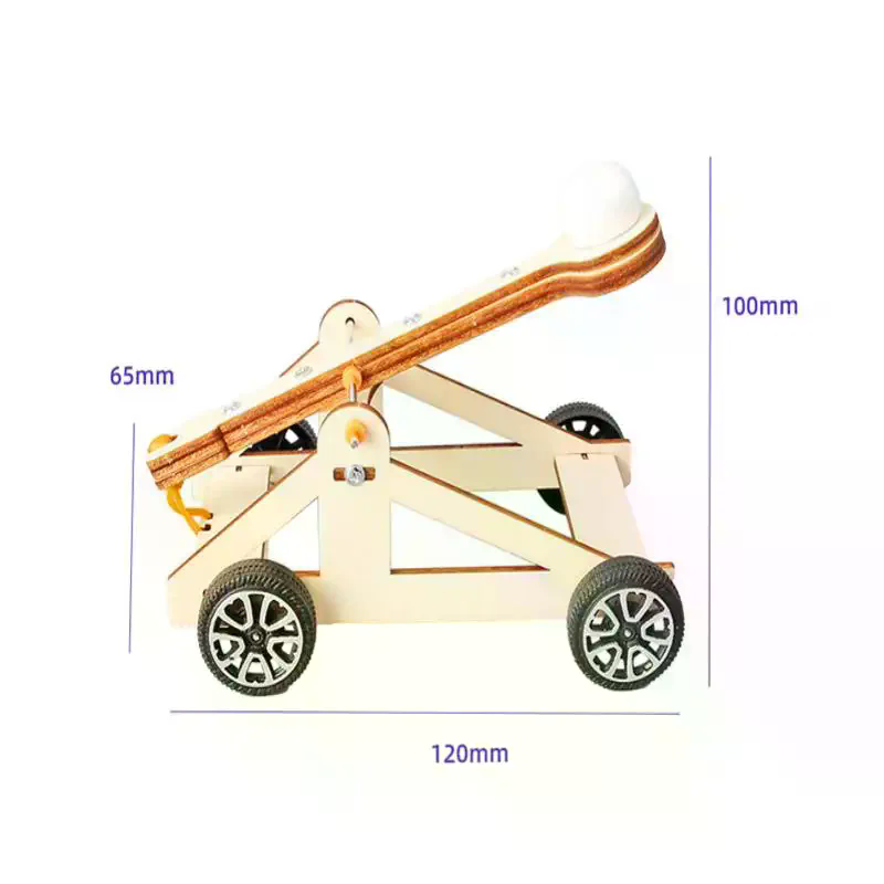1 Set DIY Science Experiment K - Science Project Physics avis et prix