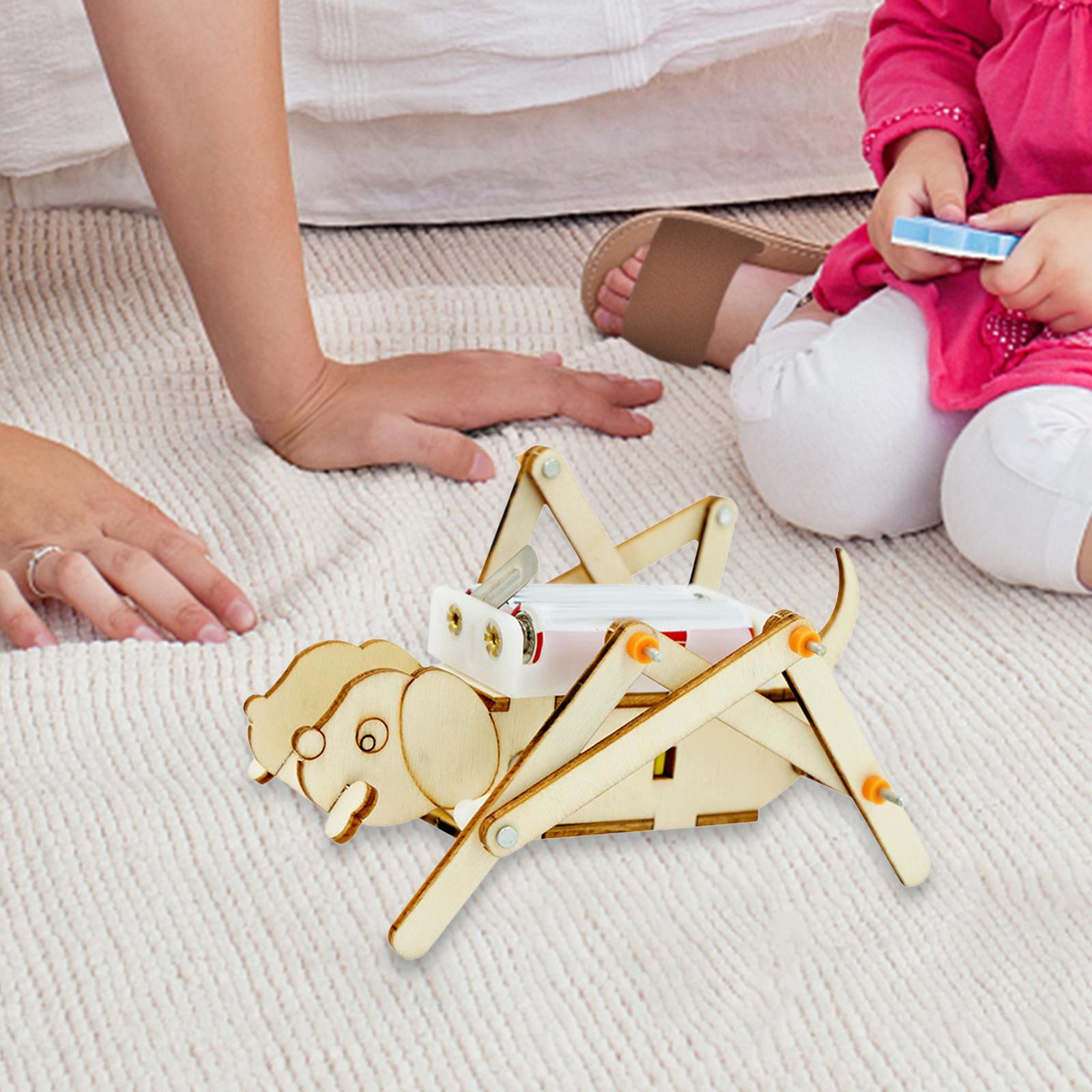 DIY Wooden Model Set Science K - Science Project Toys Making avis et prix