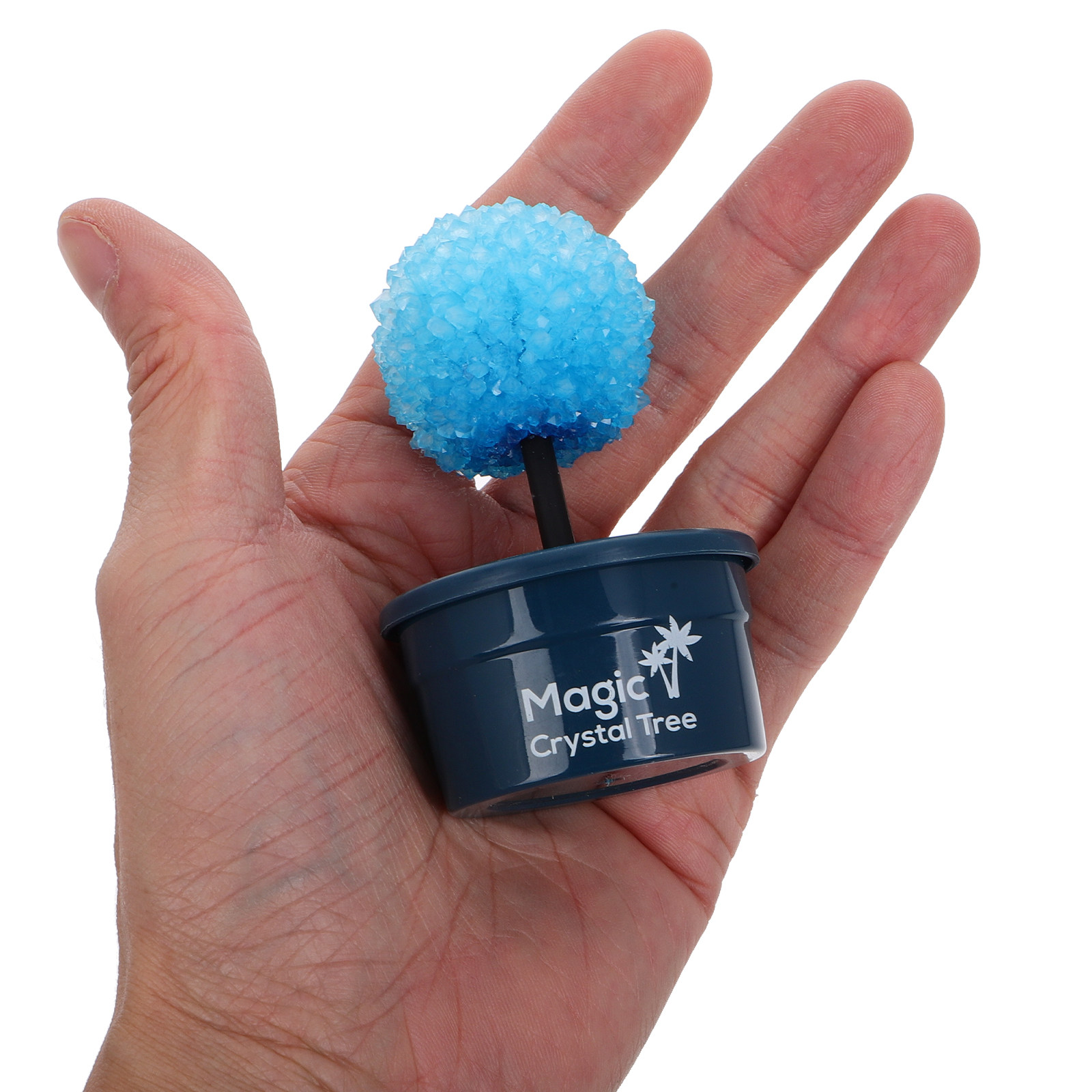 1Set Crystal Craft Set for Chi - Science Kit avis et prix
