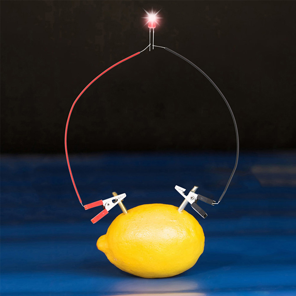 1Set Fruit Battery Science Exp - Science Project Physics avis et prix