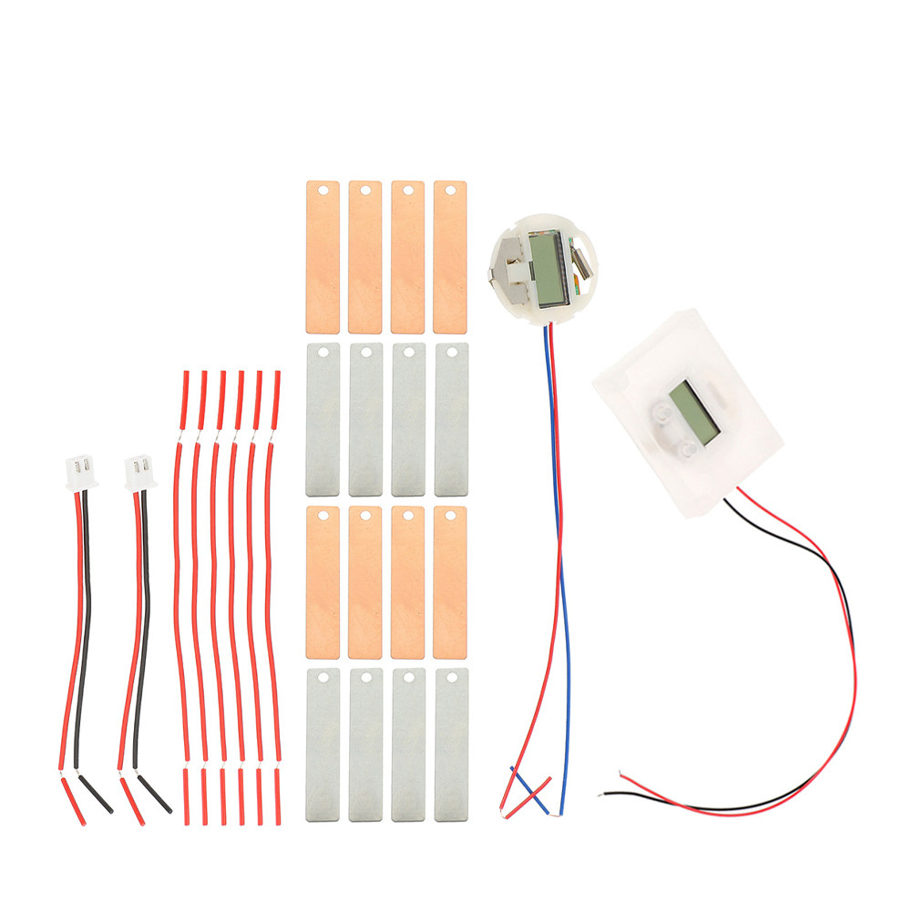 1Set Fruit Battery Science Exp - Science Project Physics avis et prix