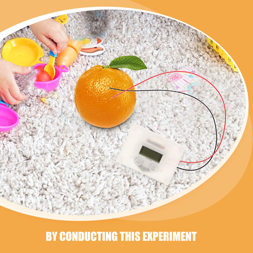 1Set Fruit Battery Science Exp - Science Project Physics avis et prix