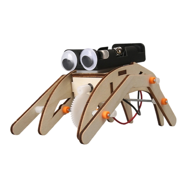  Wooden STEM Building Project  - Science Project Physics avis et prix