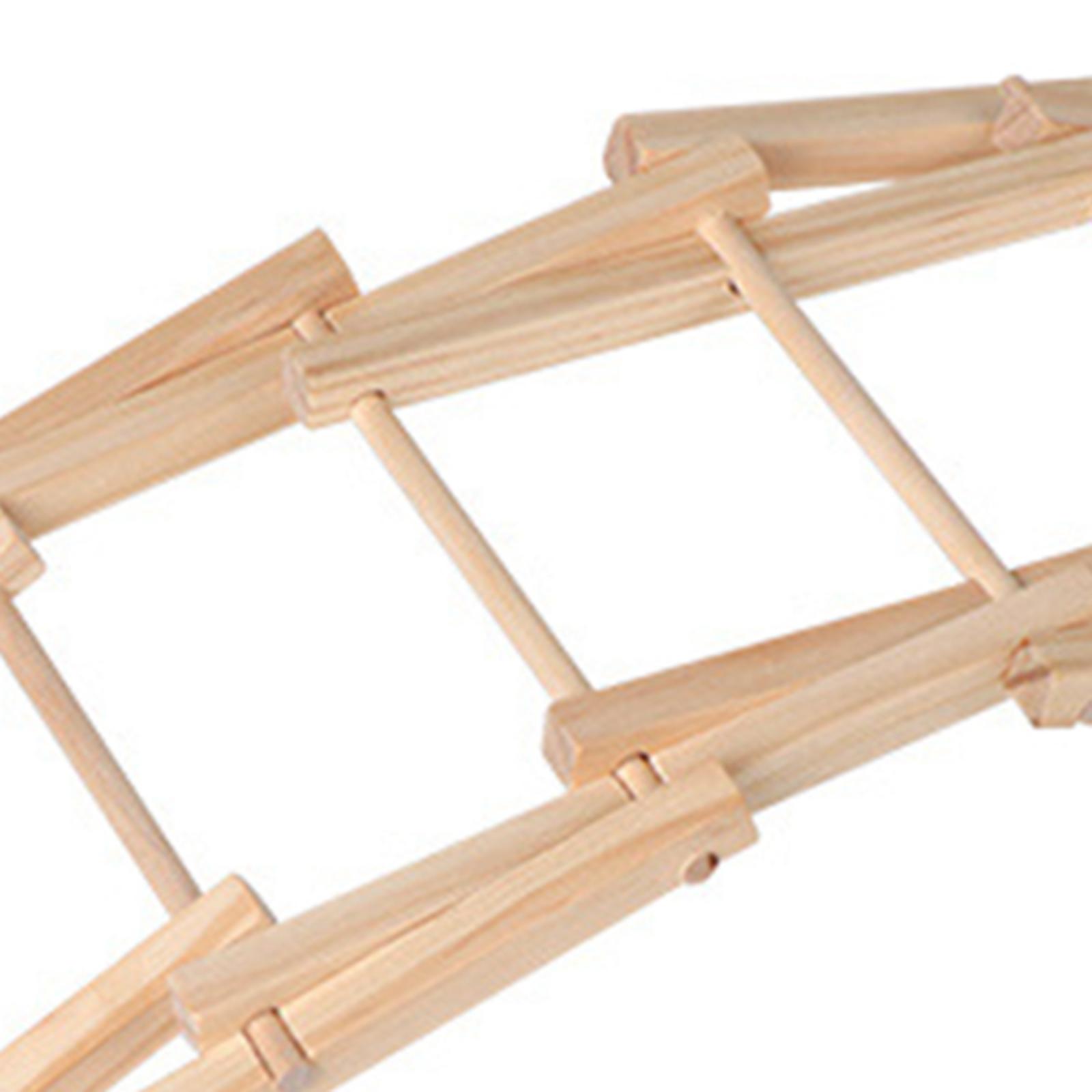 Wood Science Model Bridge (ass - Science Project Physics avis et prix