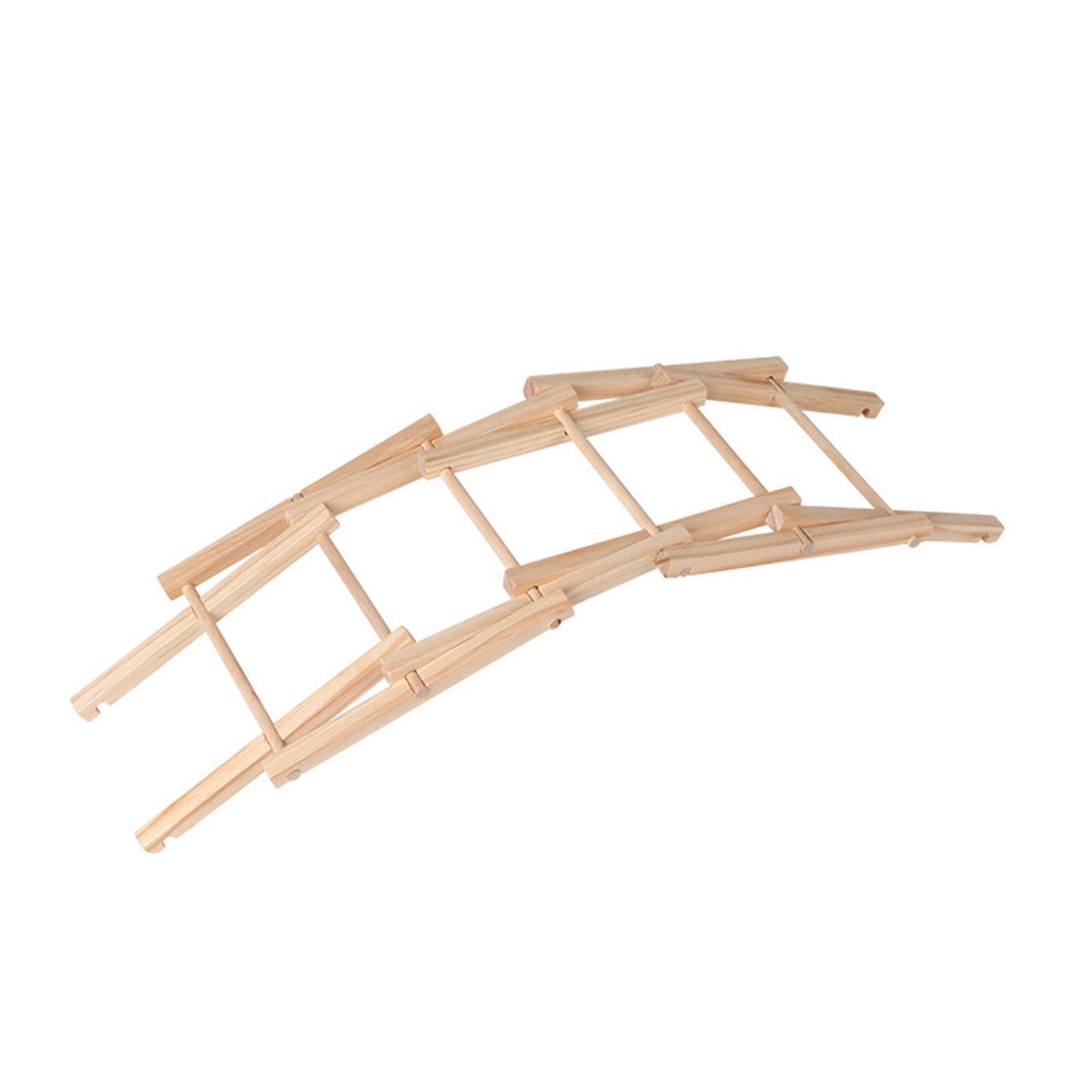 Wood Science Model Bridge (ass - Science Project Physics avis et prix