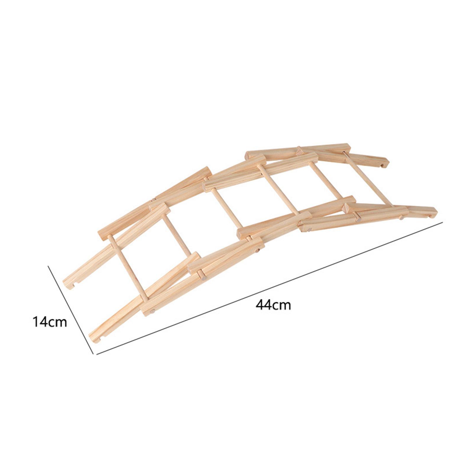 Wood Science Model Bridge (ass - Science Project Physics avis et prix