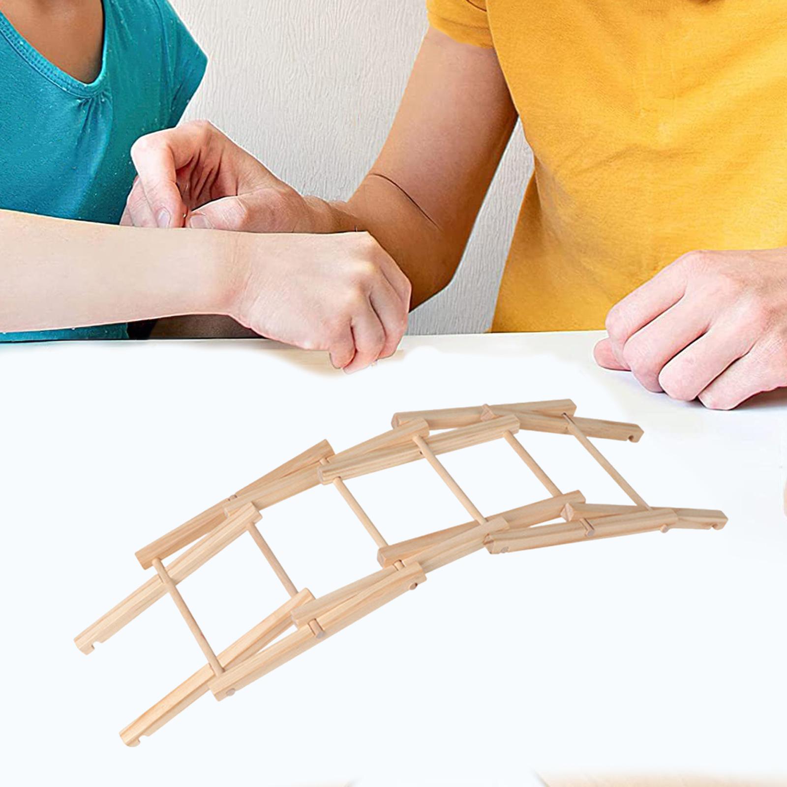 Wood Science Model Bridge (ass - Science Project Physics avis et prix