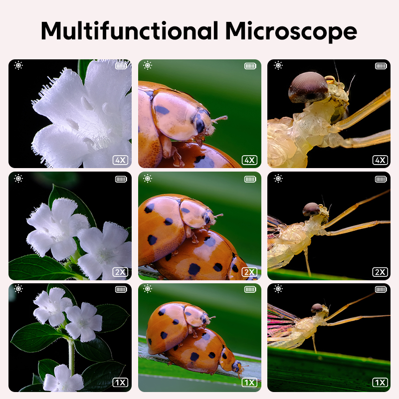 Mini Kids Optical Microscope W - Science Max avis et prix